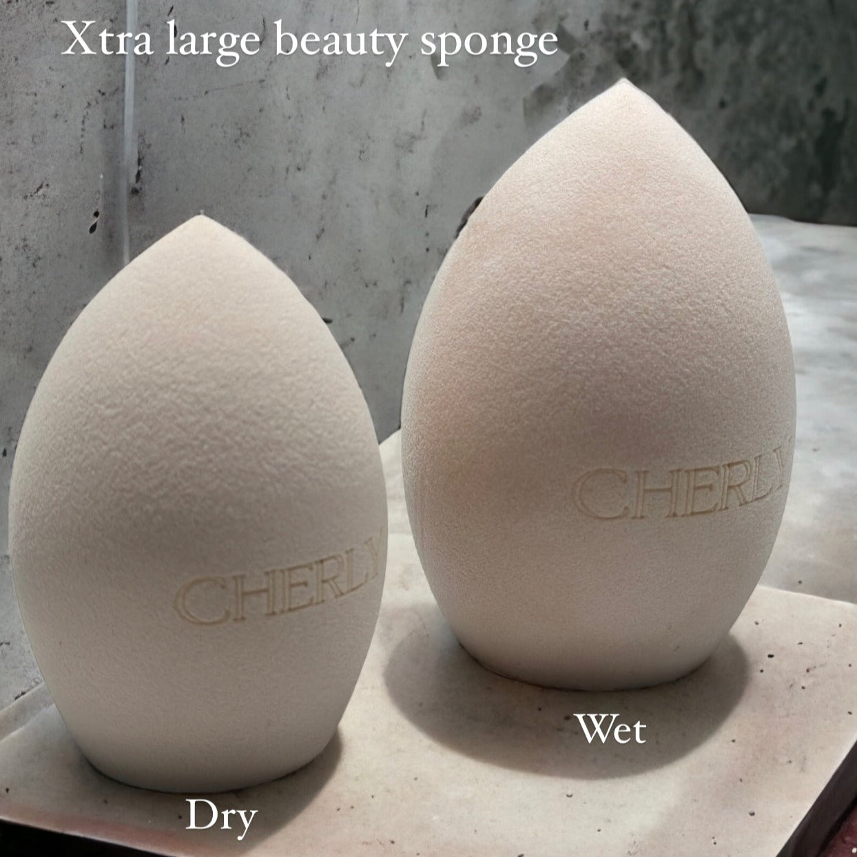 X Large makeup Sponge